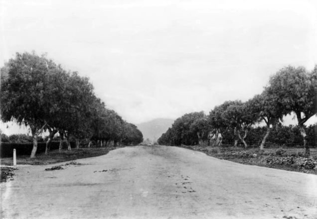 Hollywood Boulevard, then named Prospect Avenue, circa 1899 (courtesy of the USC Libraries – California Historical Society Collection, LA Streets