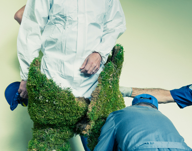 Man being dressed in a suit of moss. The Moss Men of Bejar.