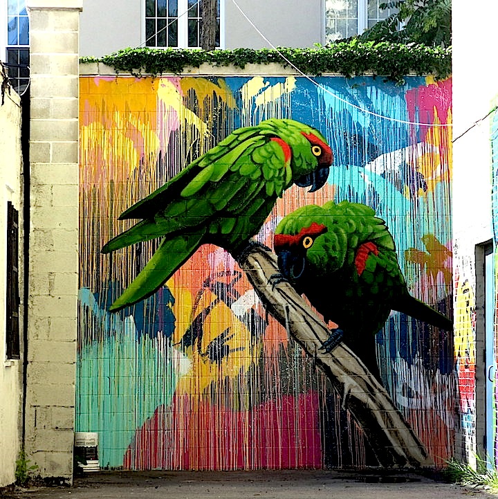 Geoffrey-Carran-and-Rowena-Martinich-street-art-mural-Project-brookLYNK-NYC