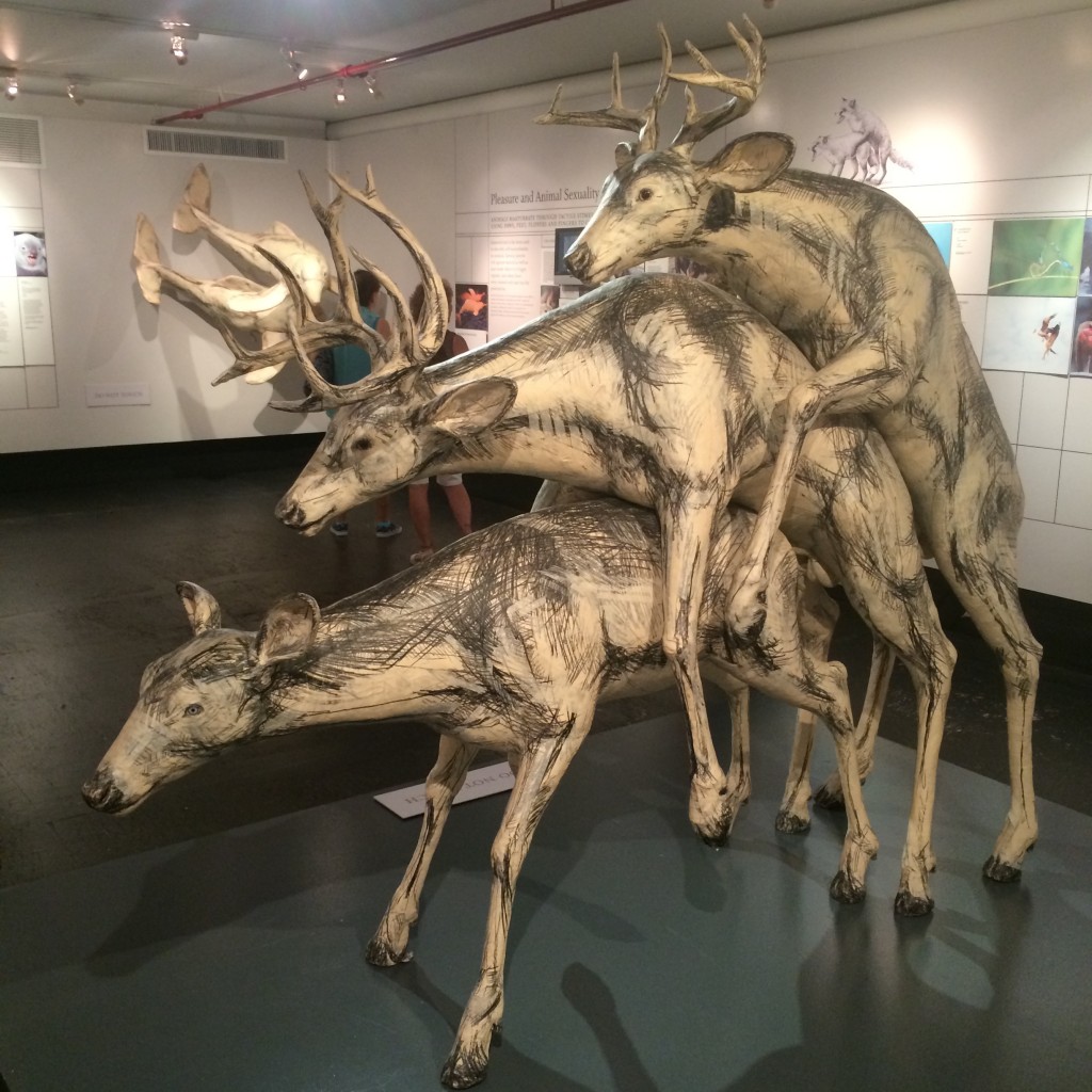 museum-of-sex-deer-artreport