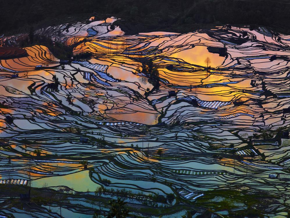 thierry-bornier-abstract-nature-photo-artreport