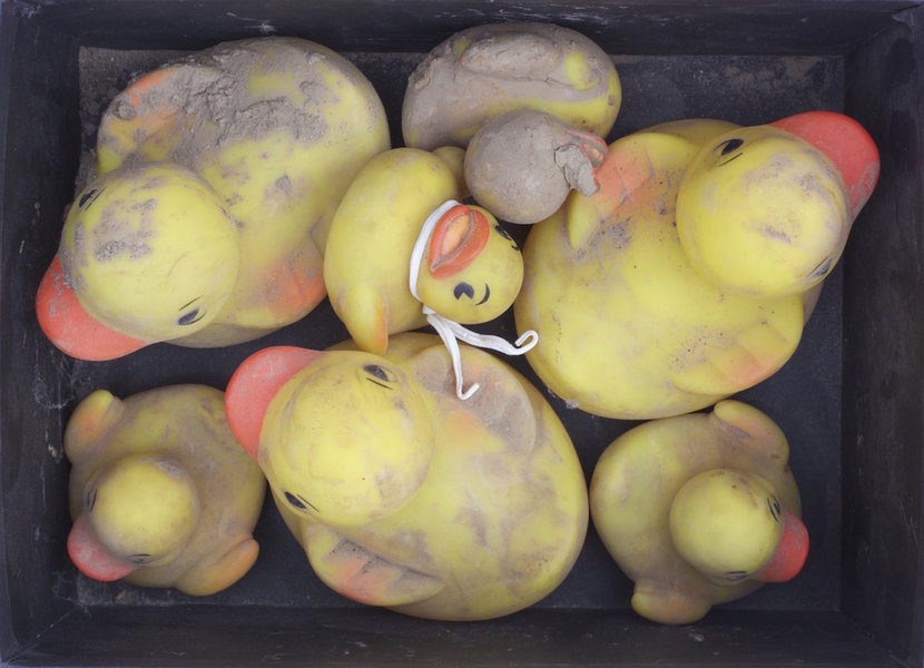 Tom Kiefer's Photo of Rubber Duckies, El Sueño Americano