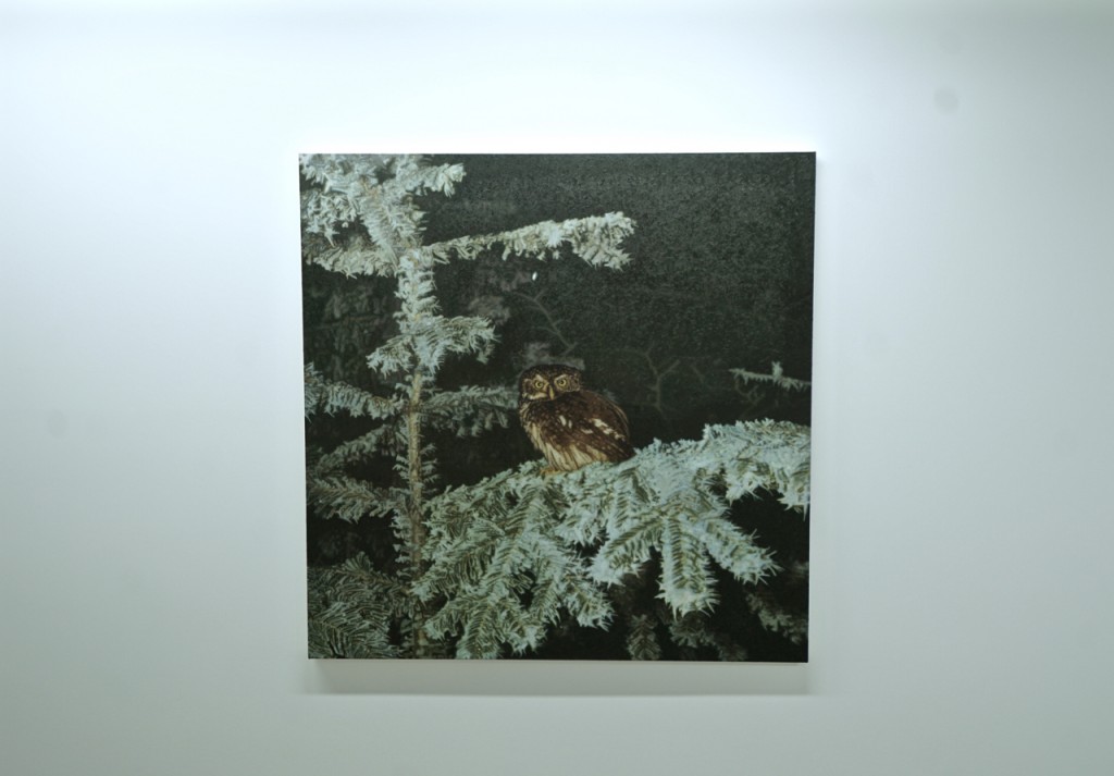 Portrait of an owl by Rudolf Stingel at Sadie Coles Gallery