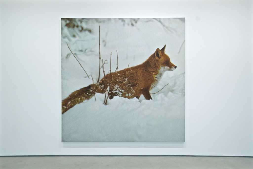 Portrait of a fox by Rudolf Stingel at Sadie Coles Gallery