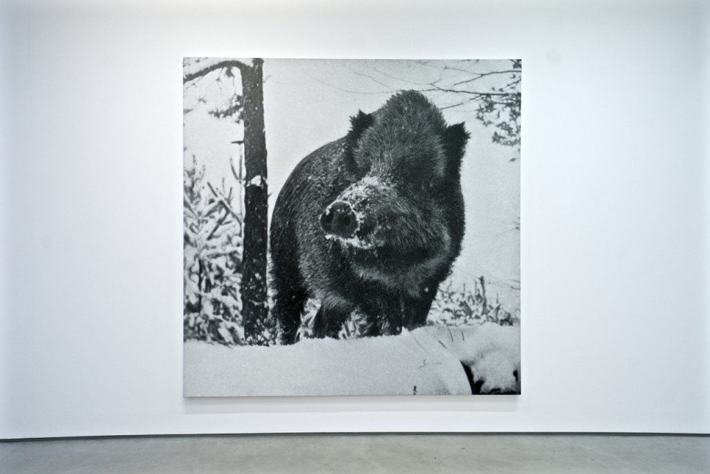 Portrait of a wild boar by Rudolf Stingel at Sadie Coles Gallery