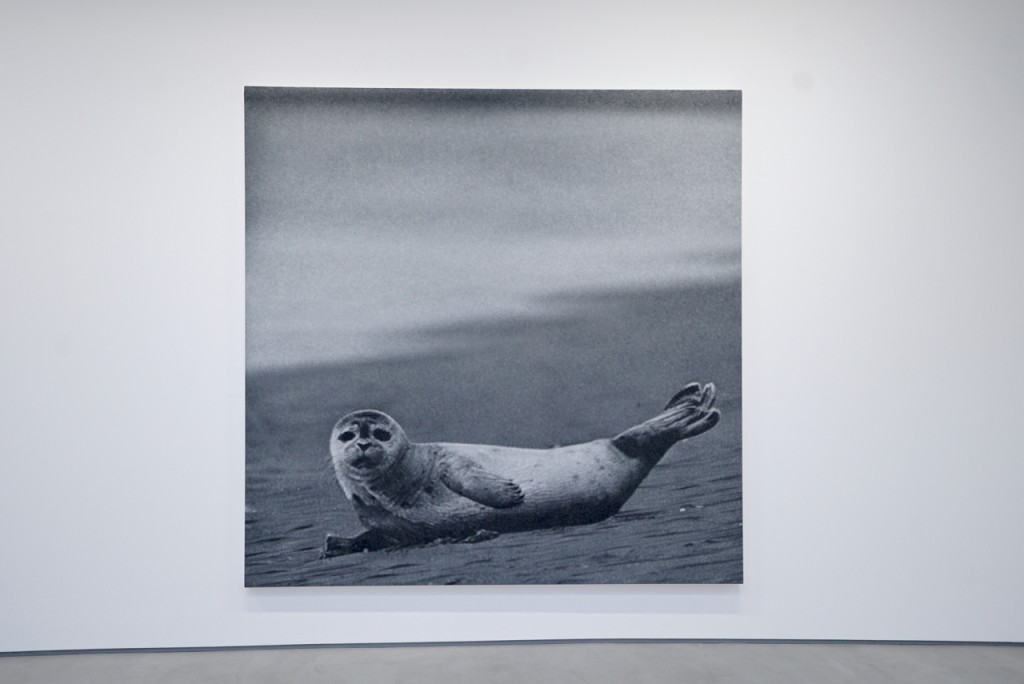 Portrait of a seal by Rudolf Stingel at Sadie Coles Gallery